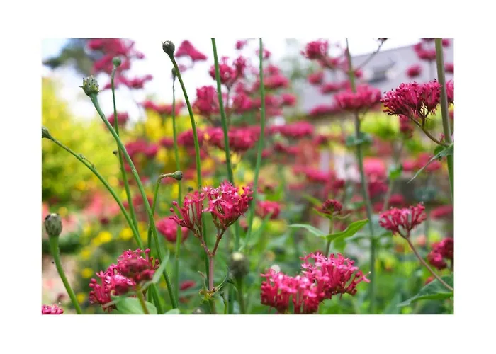 Domaene Mit Terrasse By Interhome Holiday home Saint-Laurent-de-Terregatte